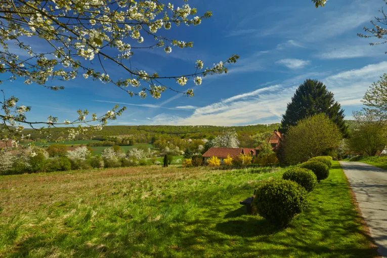 Deister im Frühling