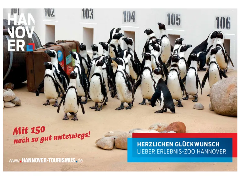 Pinguine im Erlebnis-Zoo Hannover