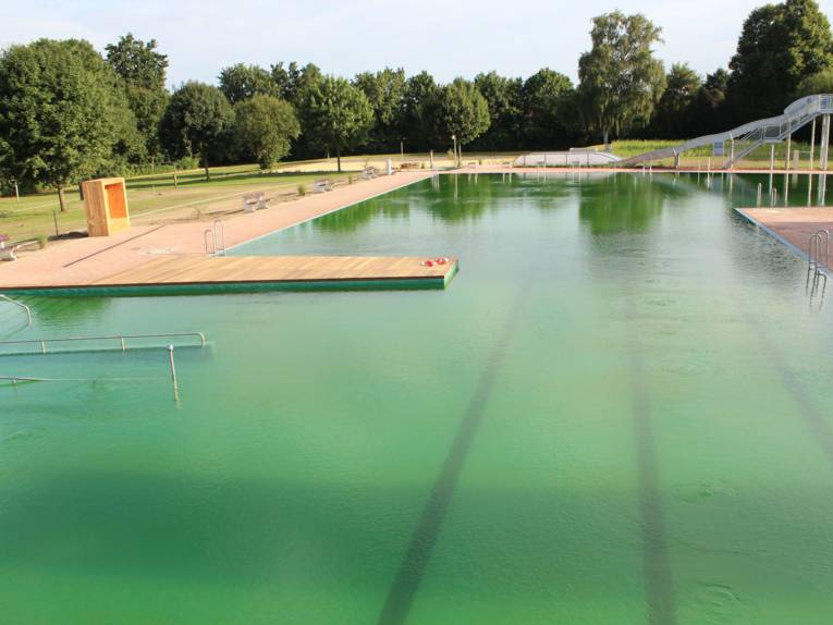 Ein Schwimmbecken, im Hintergrund eine Rutsche mit grünlich schimmerndem Wasser. Auf dem Grund erkennt man die Markierung für die Schwimmbahnen.