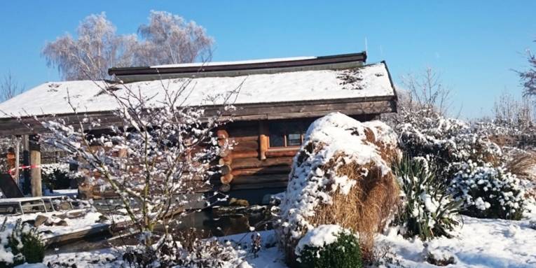 Verschneites Blockhaus, Büsche und Sträucher auf denen Schnee liegt