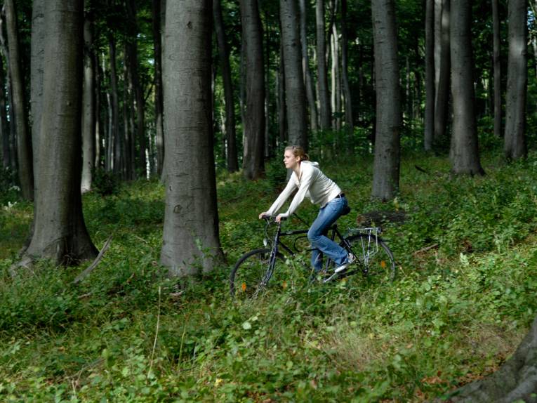 Frau fährt mit einem Fahrrad talwärts durch einen Wald.