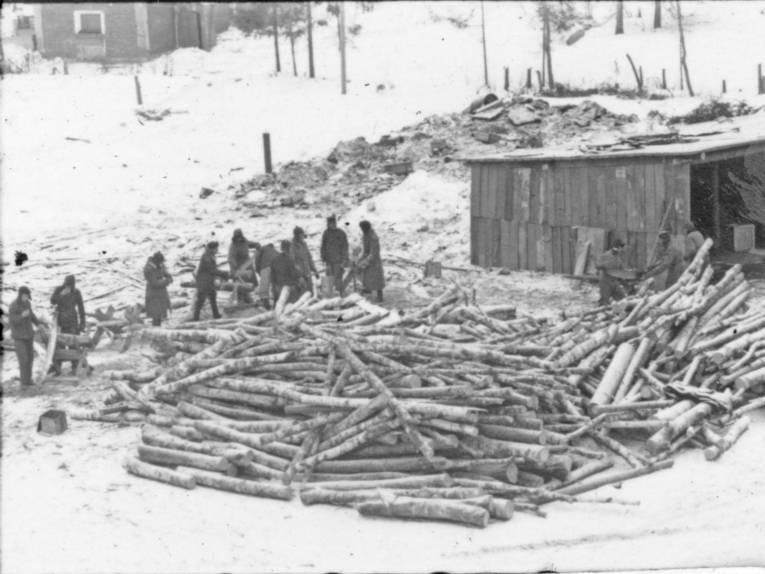 Historische Aufnahme von Männern, die draußen arbeiten. Vorne im Bild sind sehr viele Baumstämme zu sehen.