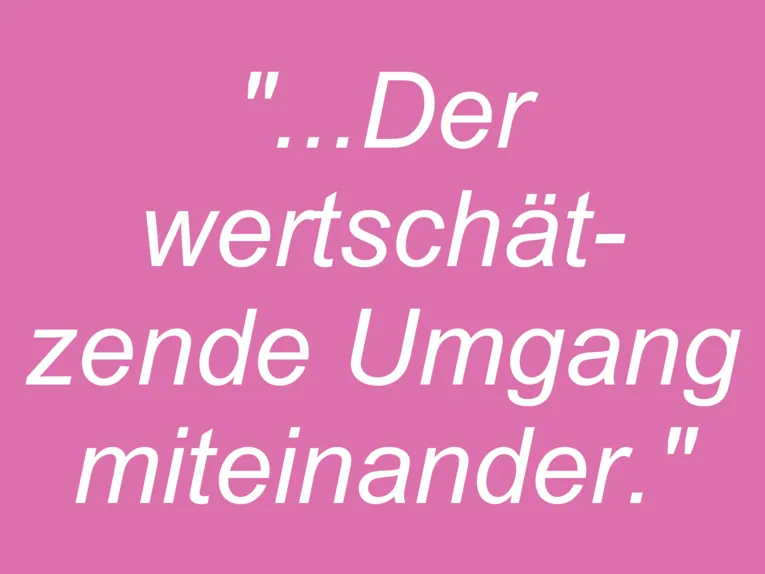 Vorschau auf gesammelte Zitate von Auszubildenden der Fach- und Berufsschulen Alice- Salomon, Birkenhof und Diakonie Kolleg