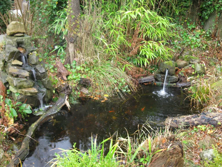 Ein kleiner Teich umgeben von Gr&uuml;nem. An zwei Stellen sind Steine &uuml;bereinander gestapelt und Wasser flie&szlig;t von dort aus in den Teich.