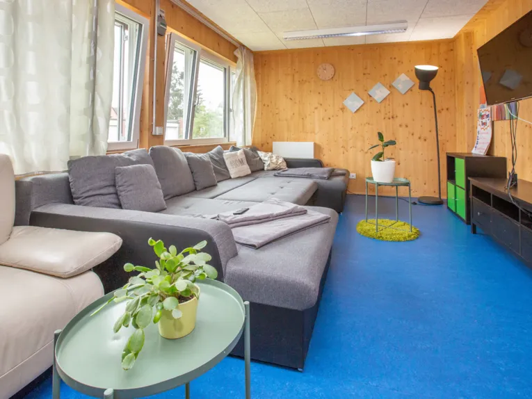 Wohnzimmer mit gro&szlig;em Sofa, Fernseher und Zimmerpflanze.