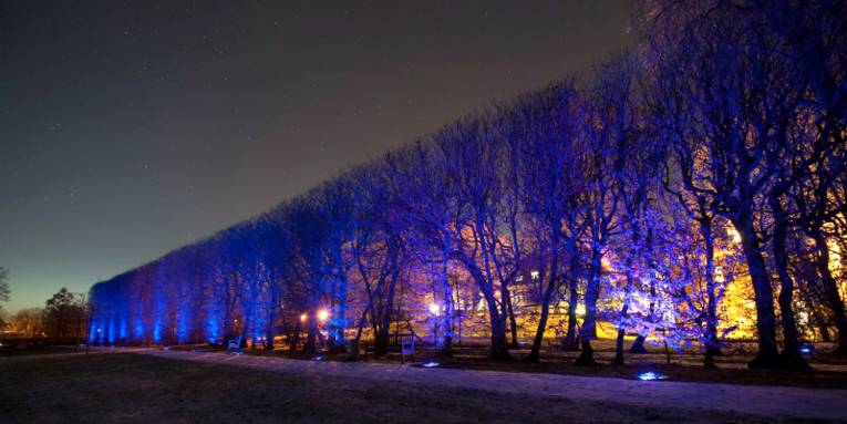 Die Lichtinstallation „Amore e vita“ der Künstlerin Yvonne Goulbier taucht die Hainbuchen vor Schloss Landestrost in blaues Licht.