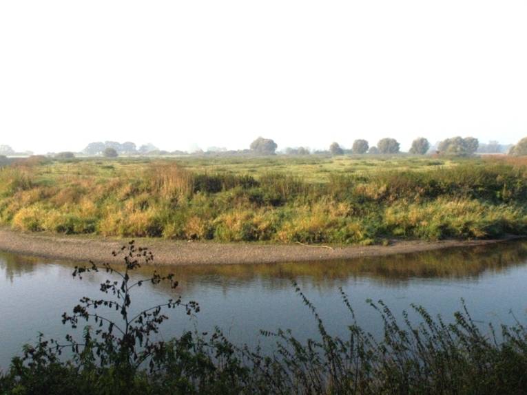 Uferlandschaft: Der Fluss Leine bei Bordenau