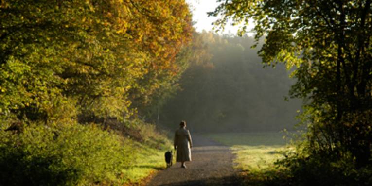 Spaziergängerin mit Hund in herbstlichem Wald