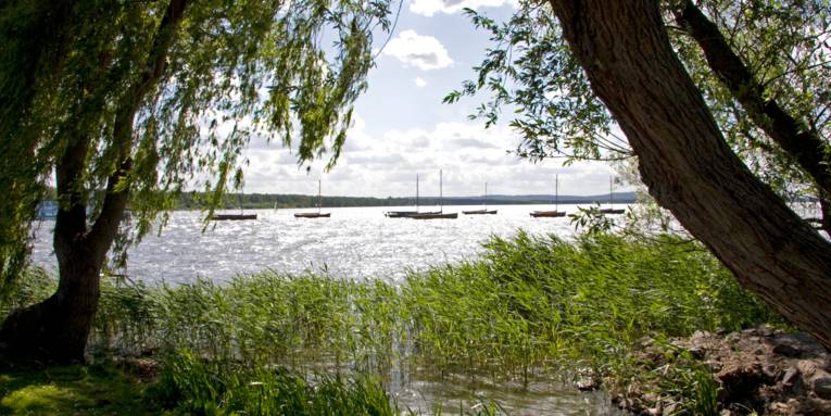 Blick von einem Spazierweg aus auf das Steinhuder Meer. Links und rechts stehen Bäume, deren Krone ein Sichtfenster auf das Gewässer freigeben. Auf dem Wasser ankern Segelboote.