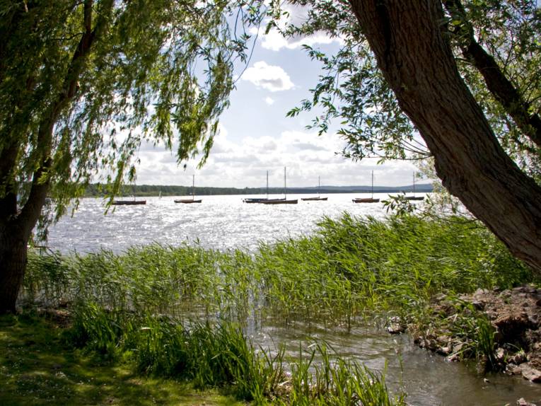 Blick von einem Spazierweg aus auf das Steinhuder Meer. Links und rechts stehen Bäume, deren Krone ein Sichtfenster auf das Gewässer freigeben. Auf dem Wasser ankern Segelboote.