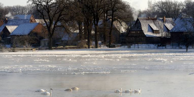 Schwäne schwimmen auf einer Wasserflche, die zum Teil zugefroren ist. Dahinter liegt ein Dorf, dessen Hausdächer mit Schnee bedeckt sind.