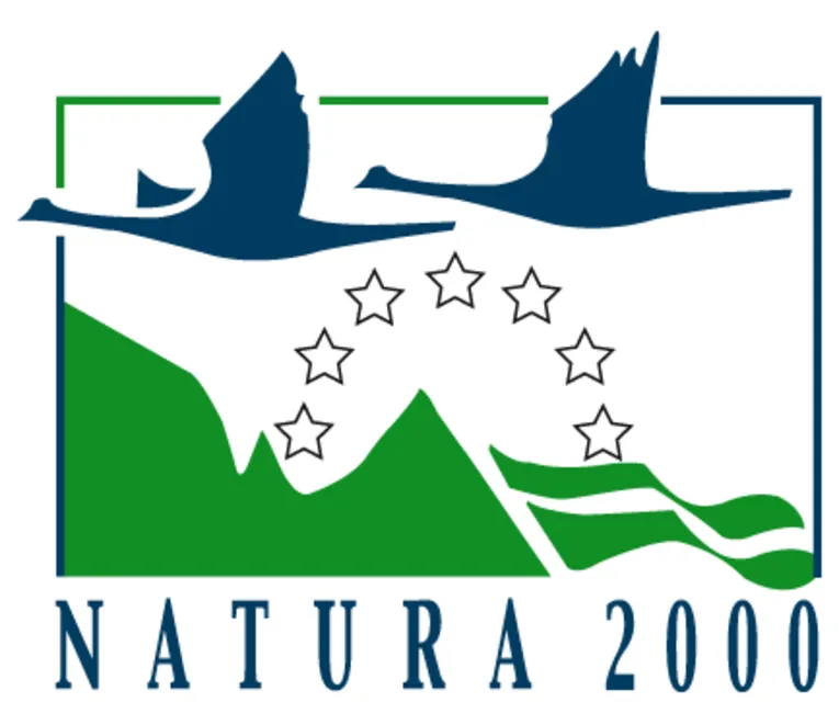 Stilisierte Vögel, Landschaft, Wasser und europäische Sterne