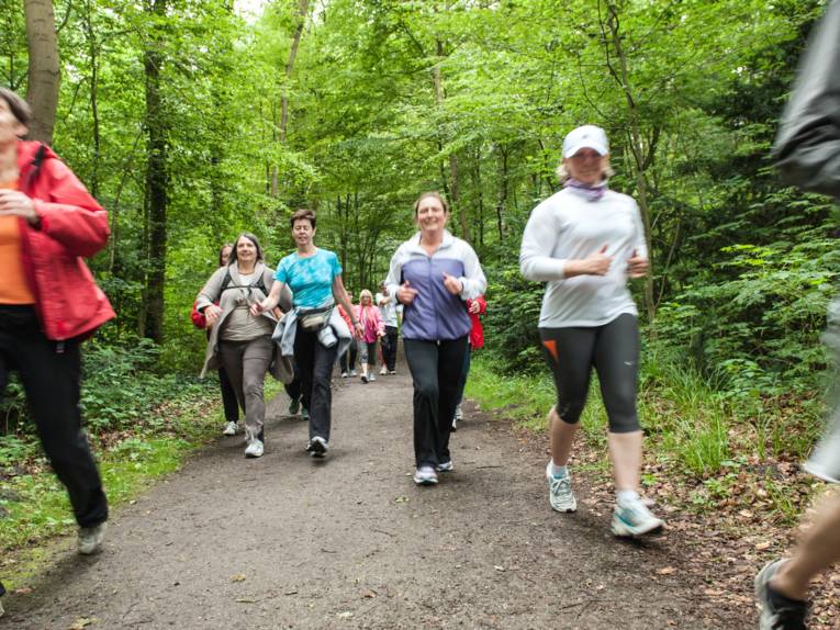 Mehrere Personen gehen sportlich über einen Waldweg.