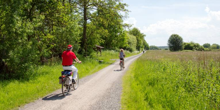 Mehrere Leute fahren mit Fahrrädern auf einem Radweg in einer Wiesenlandschaft.
