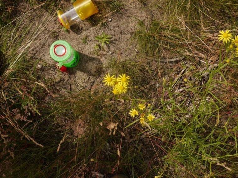 Behälter für Proben in grün und gelb auf dem Boden liegend und stehend