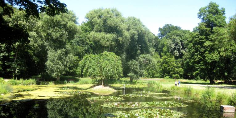 Gartenanlage mit großer Wasserfläche