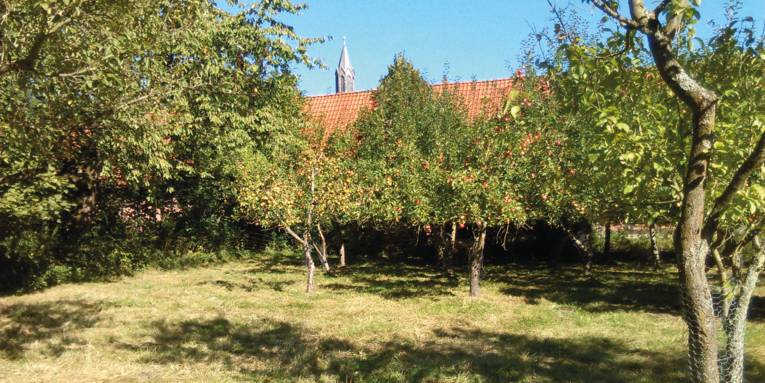 Klostergarten mit historischem Obstbestand
