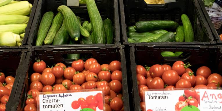 Tomaten, Zuckermais und Gurken zum Verkauf in dunklen Kisten mit Schildern davor.