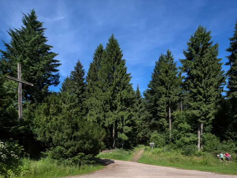 Wegekreuzung in einem Nadelwald mit Holzkreuz und Bank