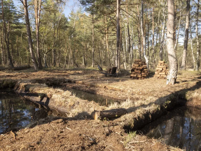 Rechteckige,mit Wasser gef&uuml;llte Becken in einer Waldlandschaft, dahinter Torfsoden