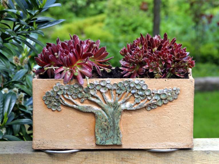 Ein eckiger Blumentopf steht auf einem Holzbalken, darin wachsen zwei Sukkulenten mit dunkelroten Blättern.