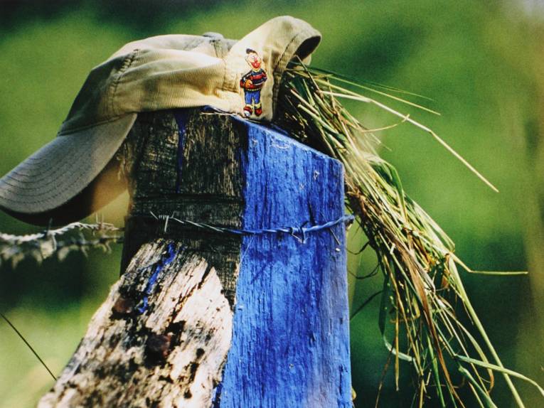 Eine Mütze, die auf einem Pfahl blau angestrichenen Pfahl liegt