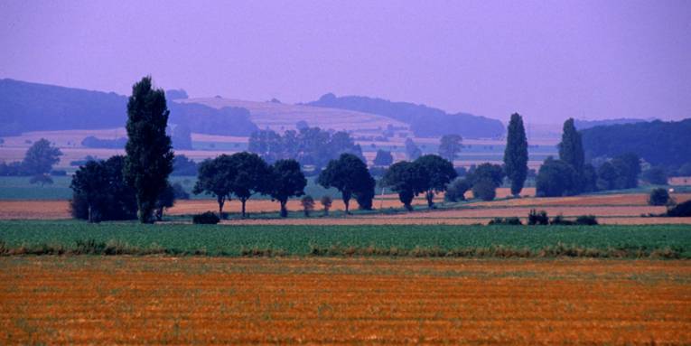 Landschaft mit Feldern, Bäumen und Hügeln im Hintergrund
