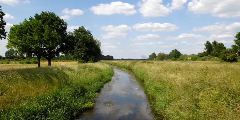 Ein kleinerer Fluss eingebettet zwischen Feldern