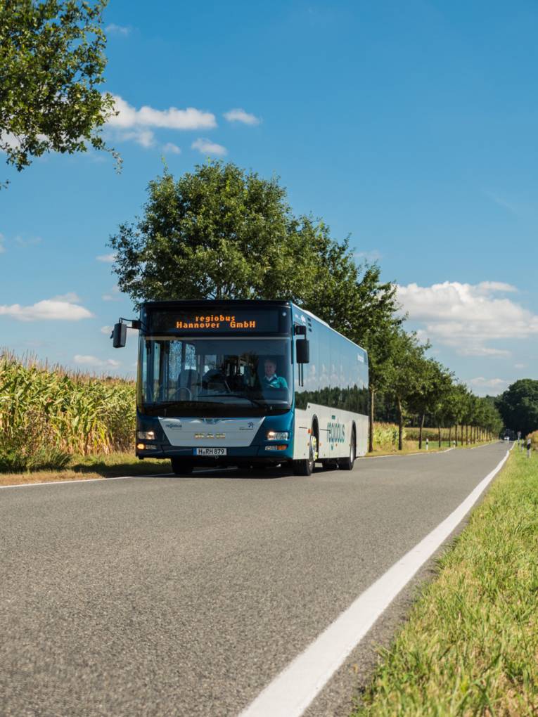 Ein Bus fährt durch eine sommerliche Landschaft