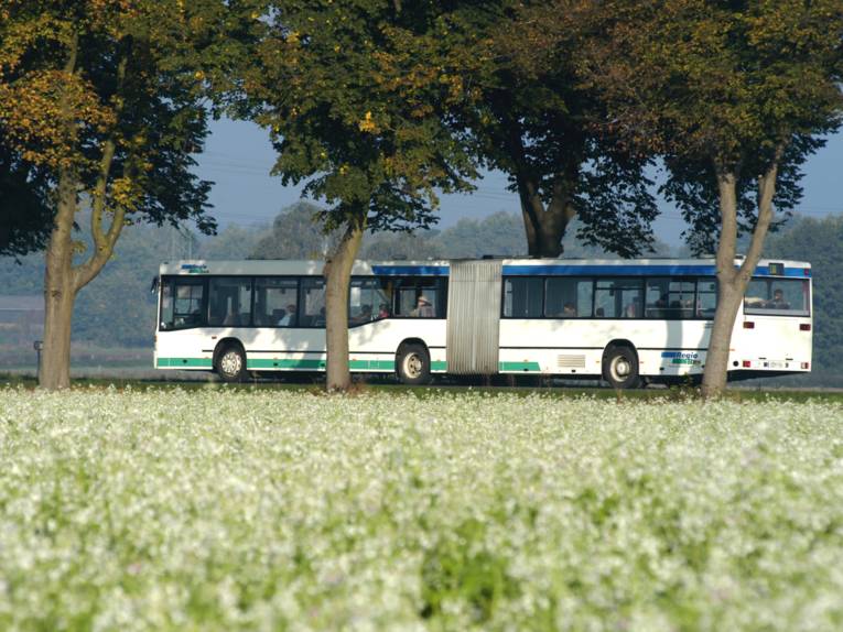 Ein Gelenkbus der RegioBus Hannover GmbH fährt im Frühling über eine Landstraße.