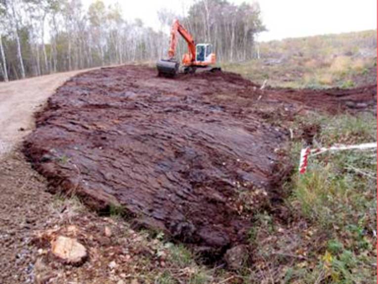 Ein orangefarbener Raupenbagger steht abseits des Radweges "Vogeldamm" im Toten Moor und bearbeitetet den moorigen Untergrund.
