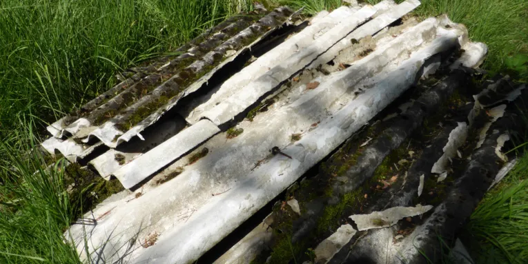Wellasbestzementplatten im Gras liegend