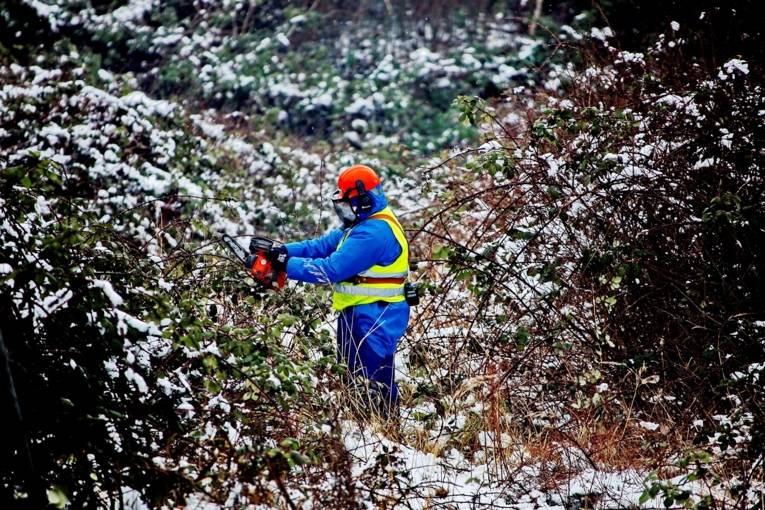 Person in Arbeitsschutzkleidung mit Kettensäge