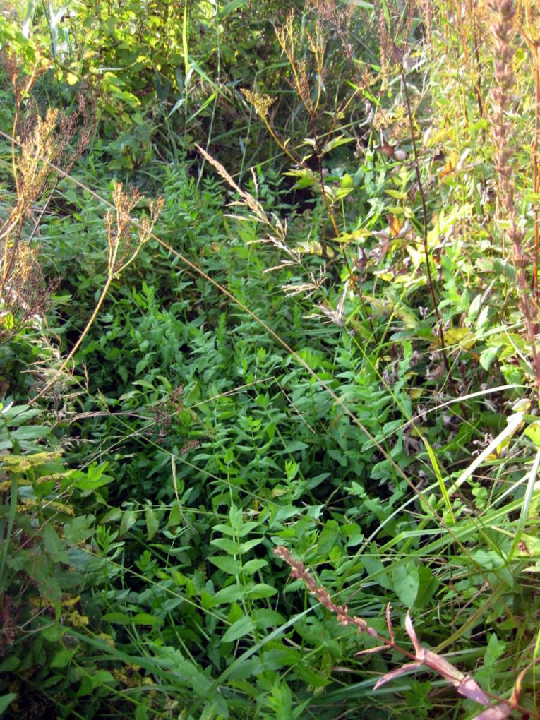 Graben in der Landschaft