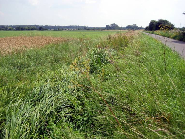 Graben in der Landschaft
