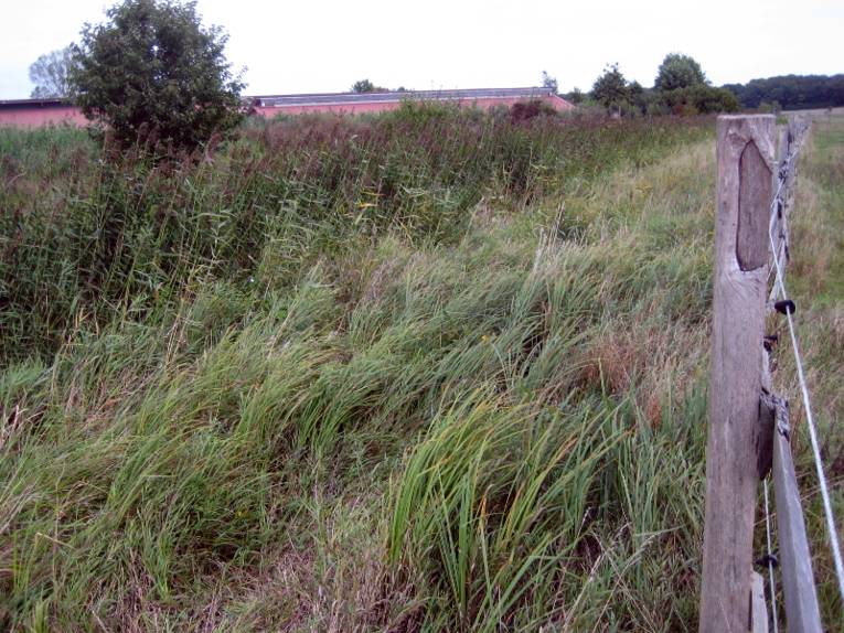 Graben in der Landschaft