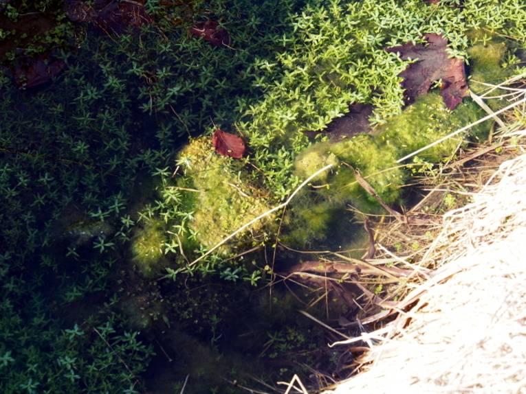 Graben in der Landschaft