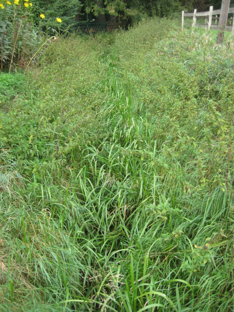 Graben in der Landschaft
