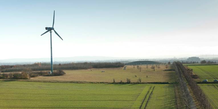 Ein Windrad steht in einer flachen Landschaft, bestehend aus grünen Feldern und Wiesen und einer Allee.