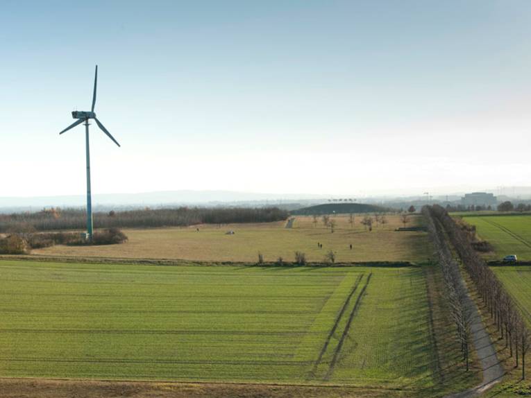 Ein Windrad steht in einer flachen Landschaft, bestehend aus grünen Feldern und Wiesen und einer Allee.