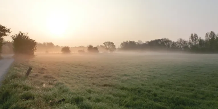 Nebel über den Wiesen des mittleren Leinetals