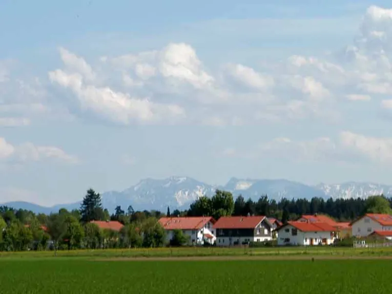 Grüne Wiesen, Häuser, Wald im Hintergrund Berge