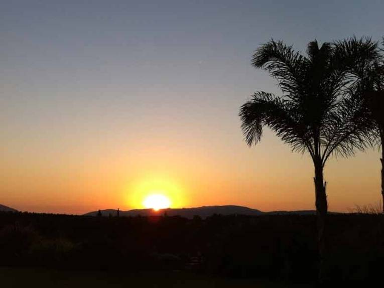Sonnenuntergang mit Palme