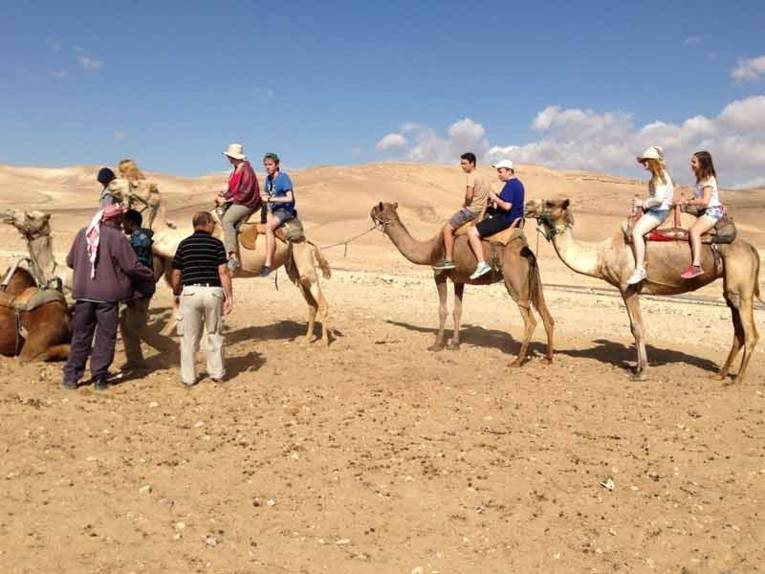 Kamele mit Reitern in der Wüste