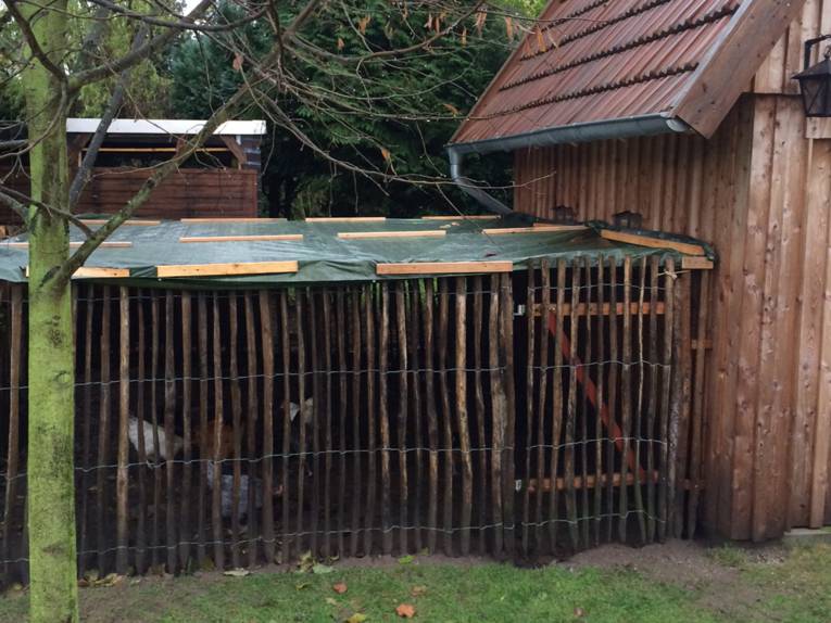 Abgedeckter Hühnerstall