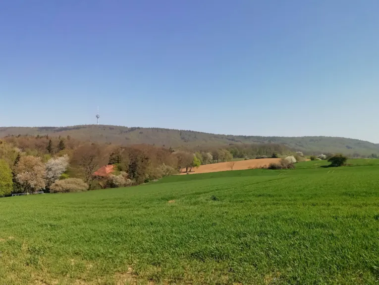 Grüne und hügelige Landschaft im Frühling