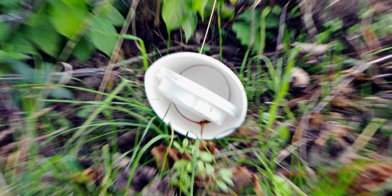 Ein Kaffeebecher samt Plastikdeckel wurde achtlos in der Natur entsorgt.