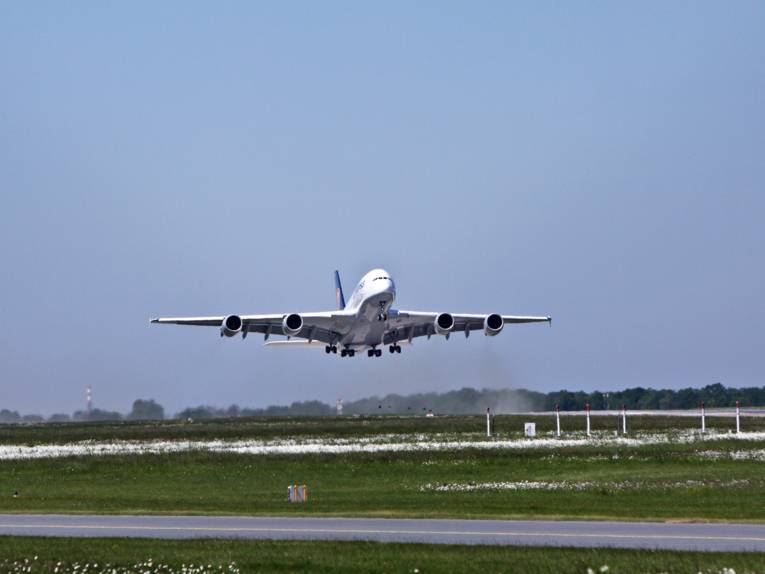 Ein großes Passagierflugzeug startet von einem Flughafen. Das Fahrwerk ist noch ausgefahren, es hebt gerade ab.
