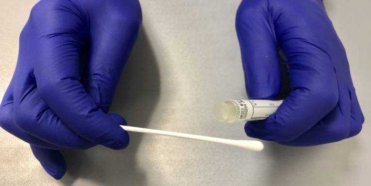 Hände in blauen Handschuhen, die ein Röhrchen und ein Stäbchen halten