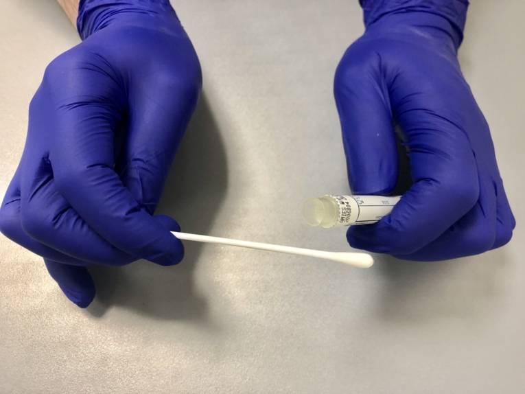 Hände in blauen Handschuhen, die ein Röhrchen und ein Stäbchen halten